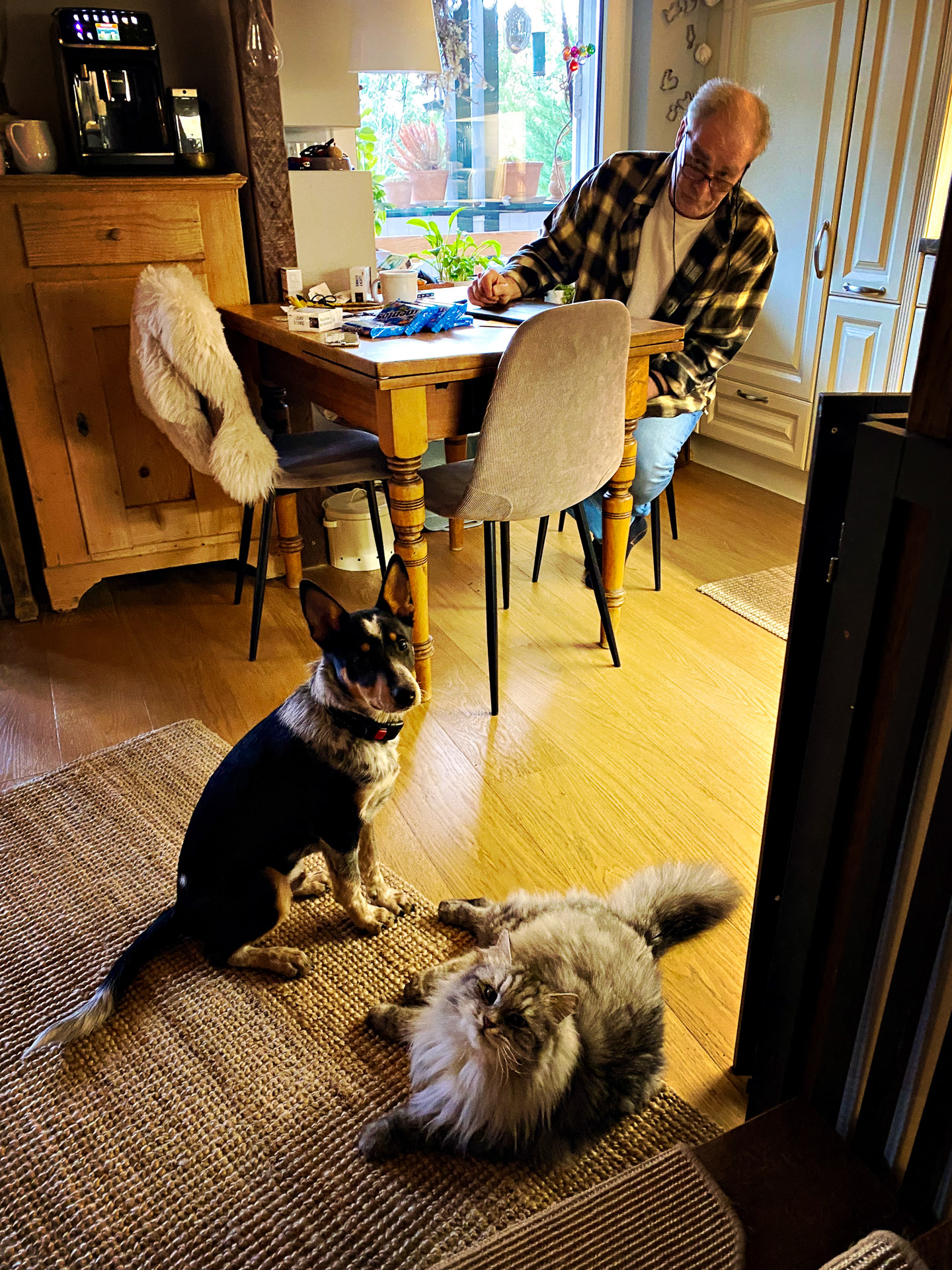 26-02-22bis25_HipstamaticPhoto-793559064.209588