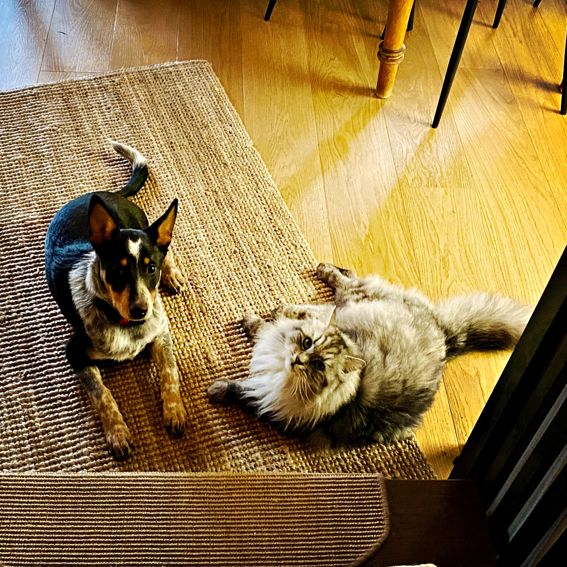 26-02-22bis25_HipstamaticPhoto-793649229.307520