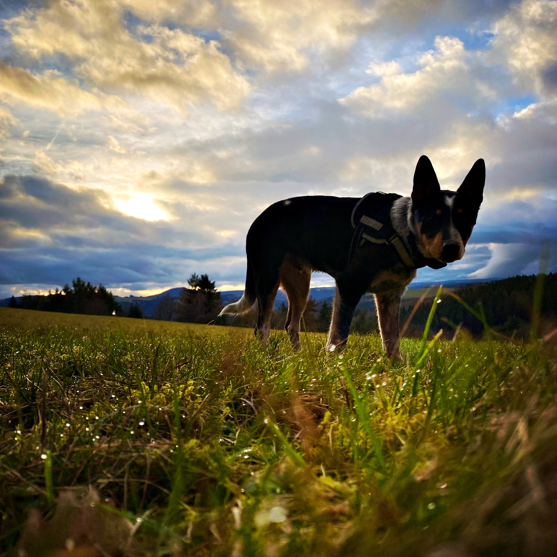 26-02-22bis25_HipstamaticPhoto-793649240.644700