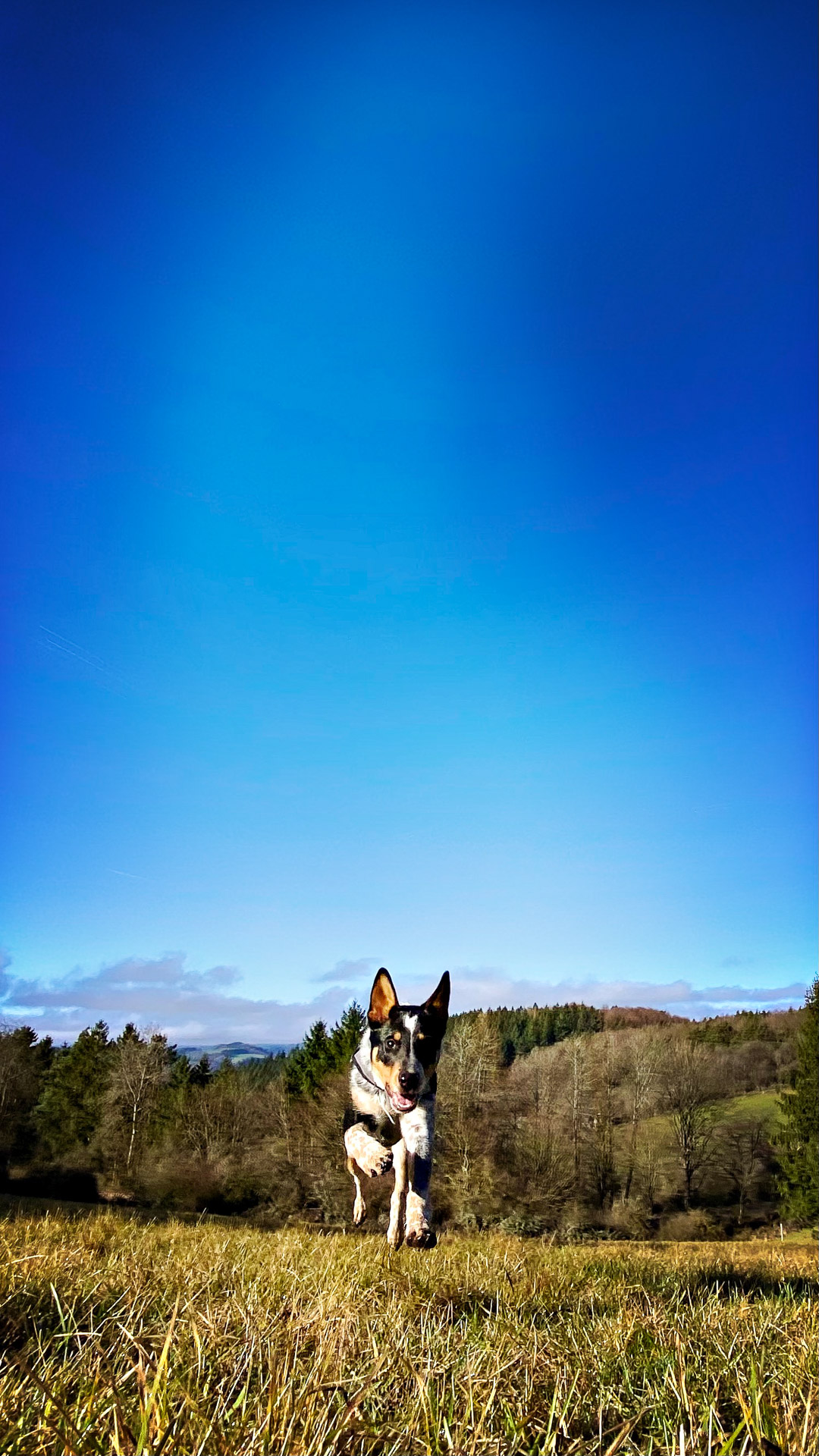 26-02-25_HipstamaticPhoto-793705243.832724