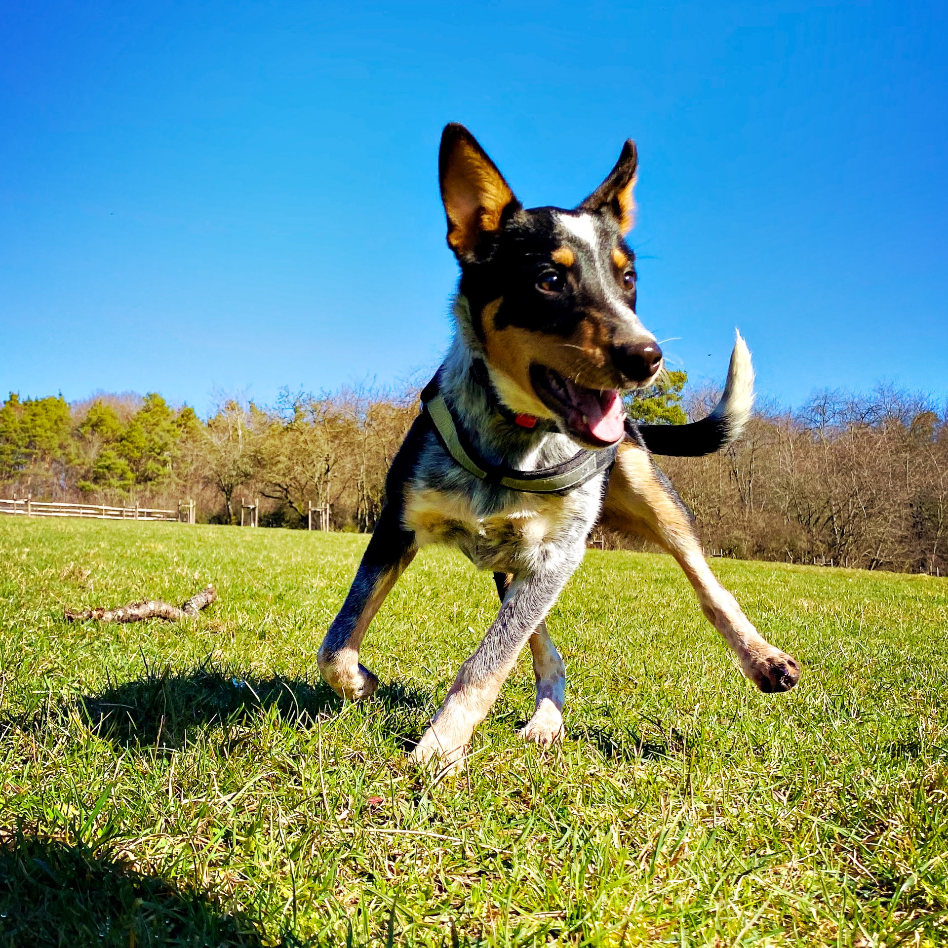 26-02-25_HipstamaticPhoto-793707384.084640