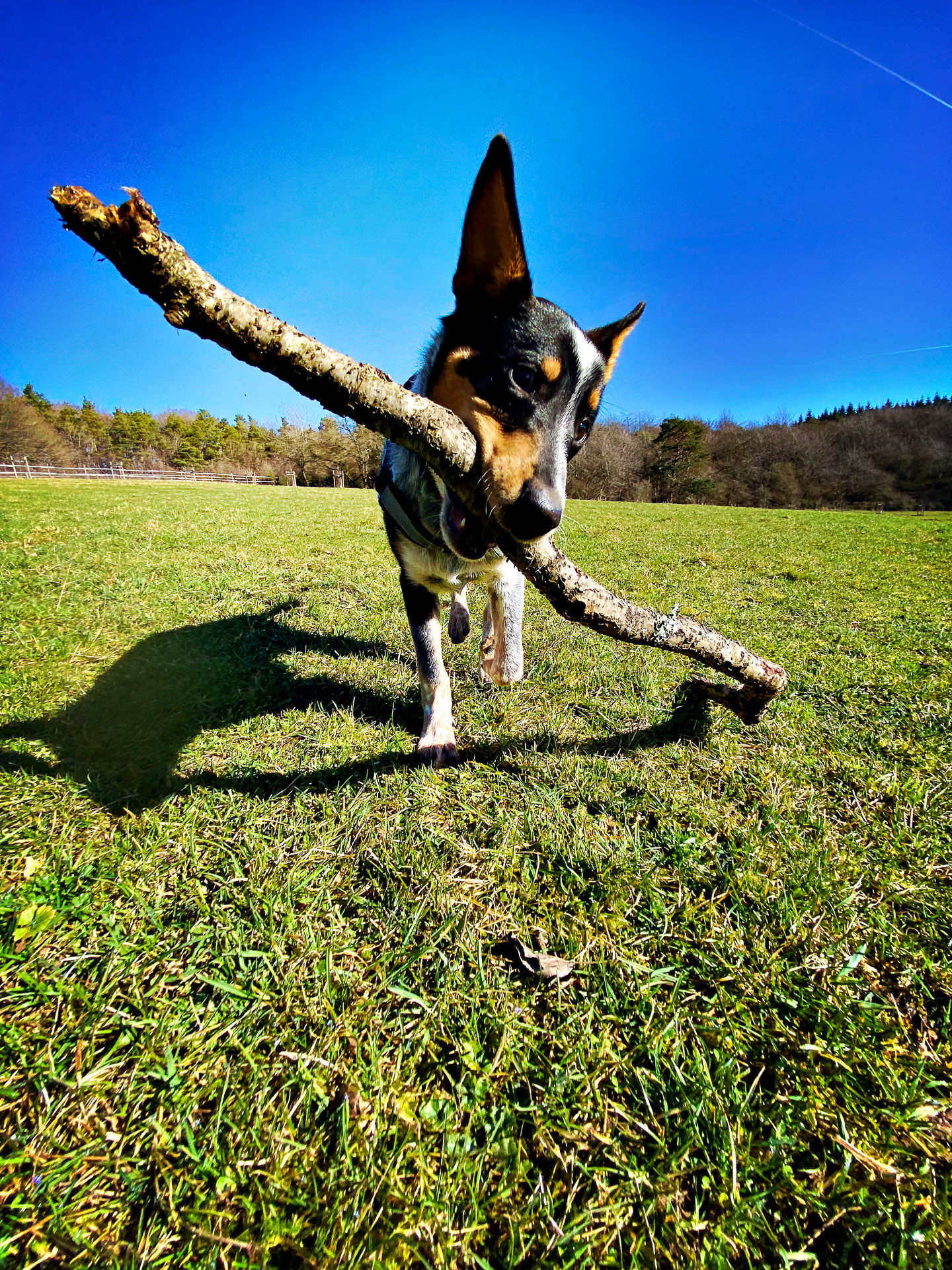 26-02-25_HipstamaticPhoto-793707500.994040