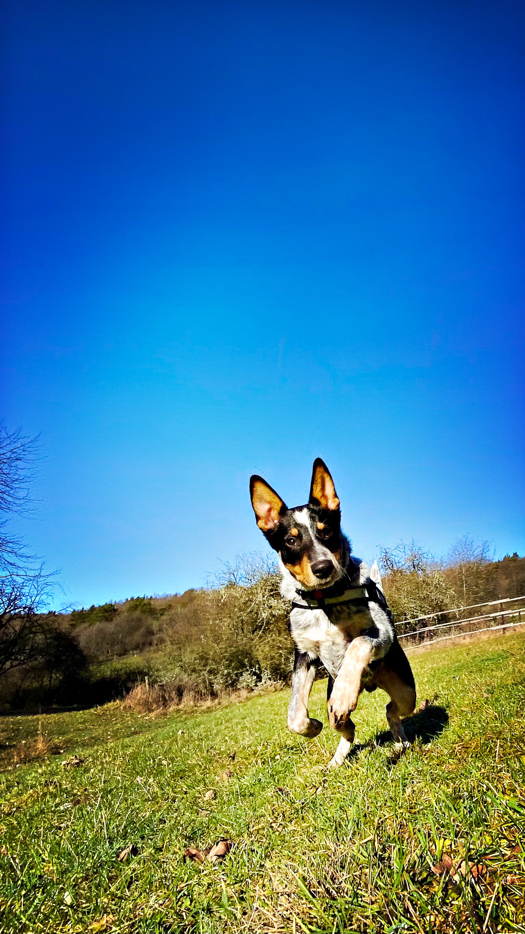 26-02-25_HipstamaticPhoto-793715262.215250