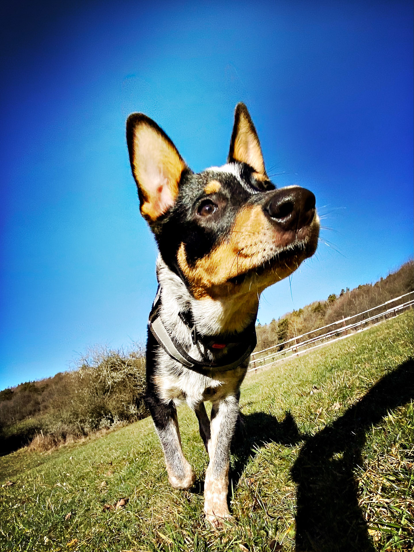 26-02-25_HipstamaticPhoto-793715269.603827