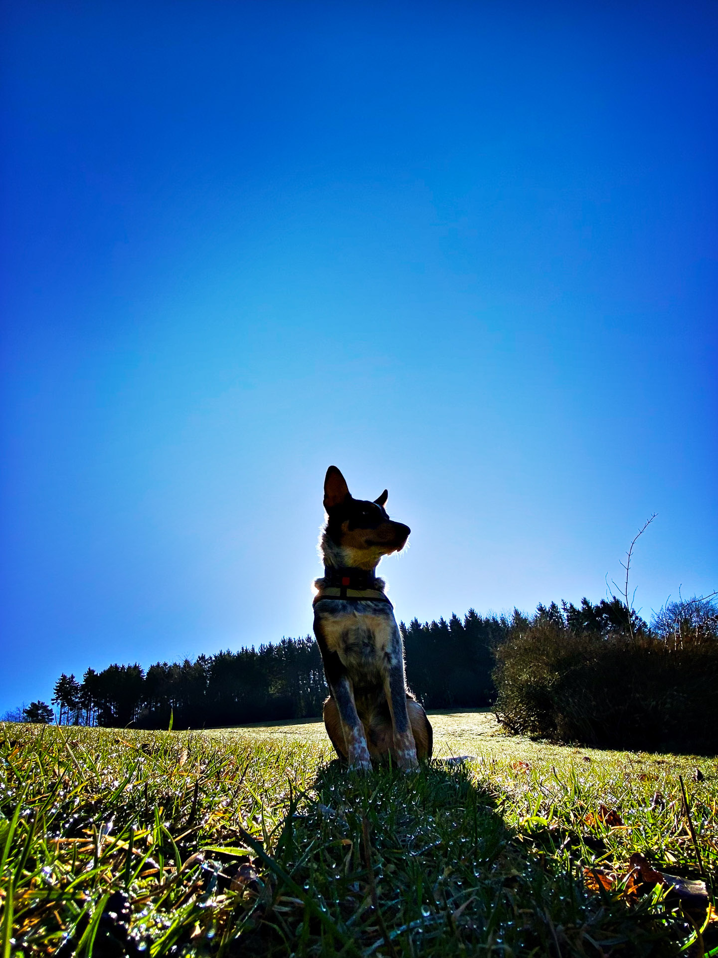 26-02-25_HipstamaticPhoto-793715280.877763