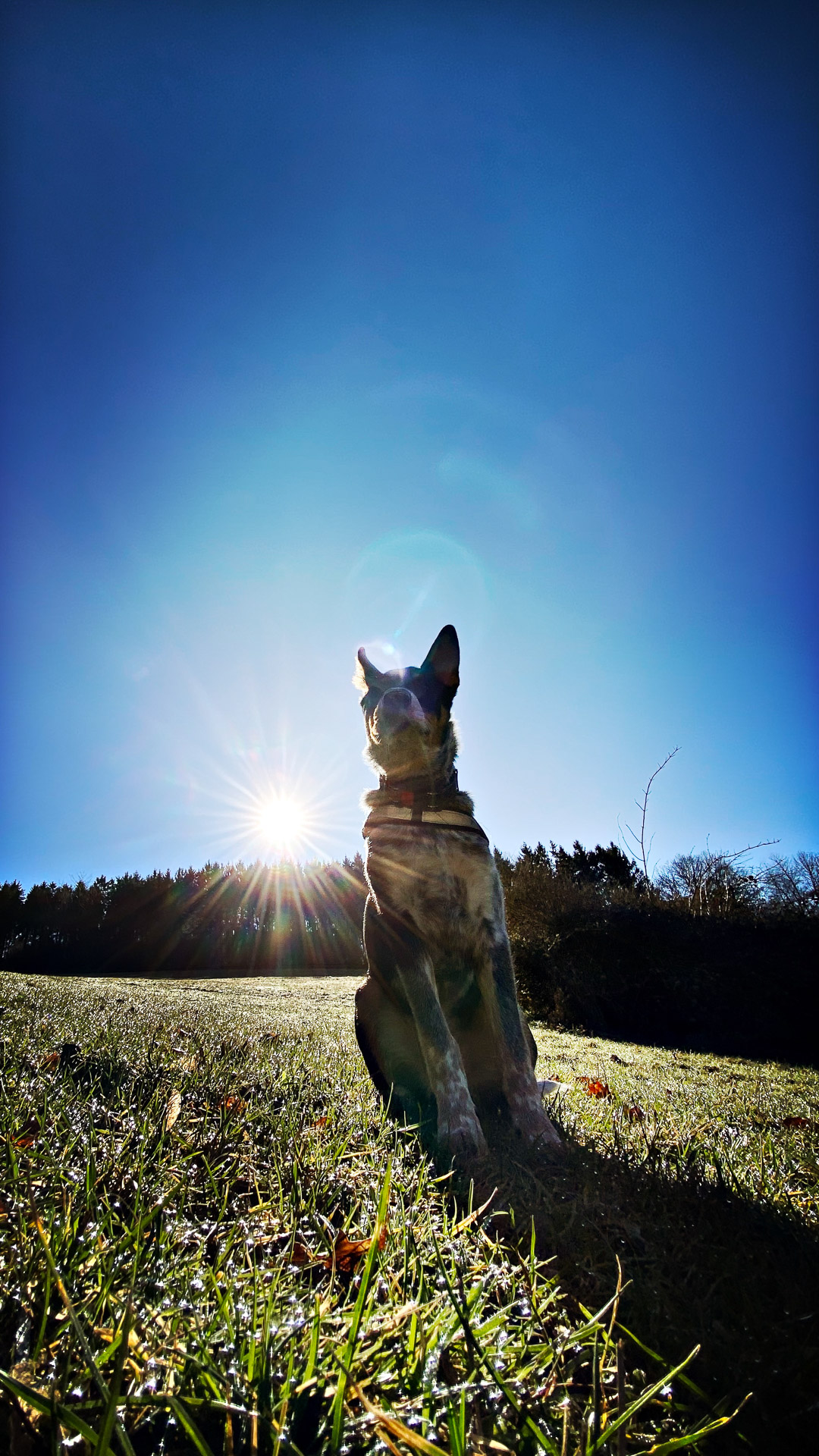 26-02-25_HipstamaticPhoto-793715287.849890