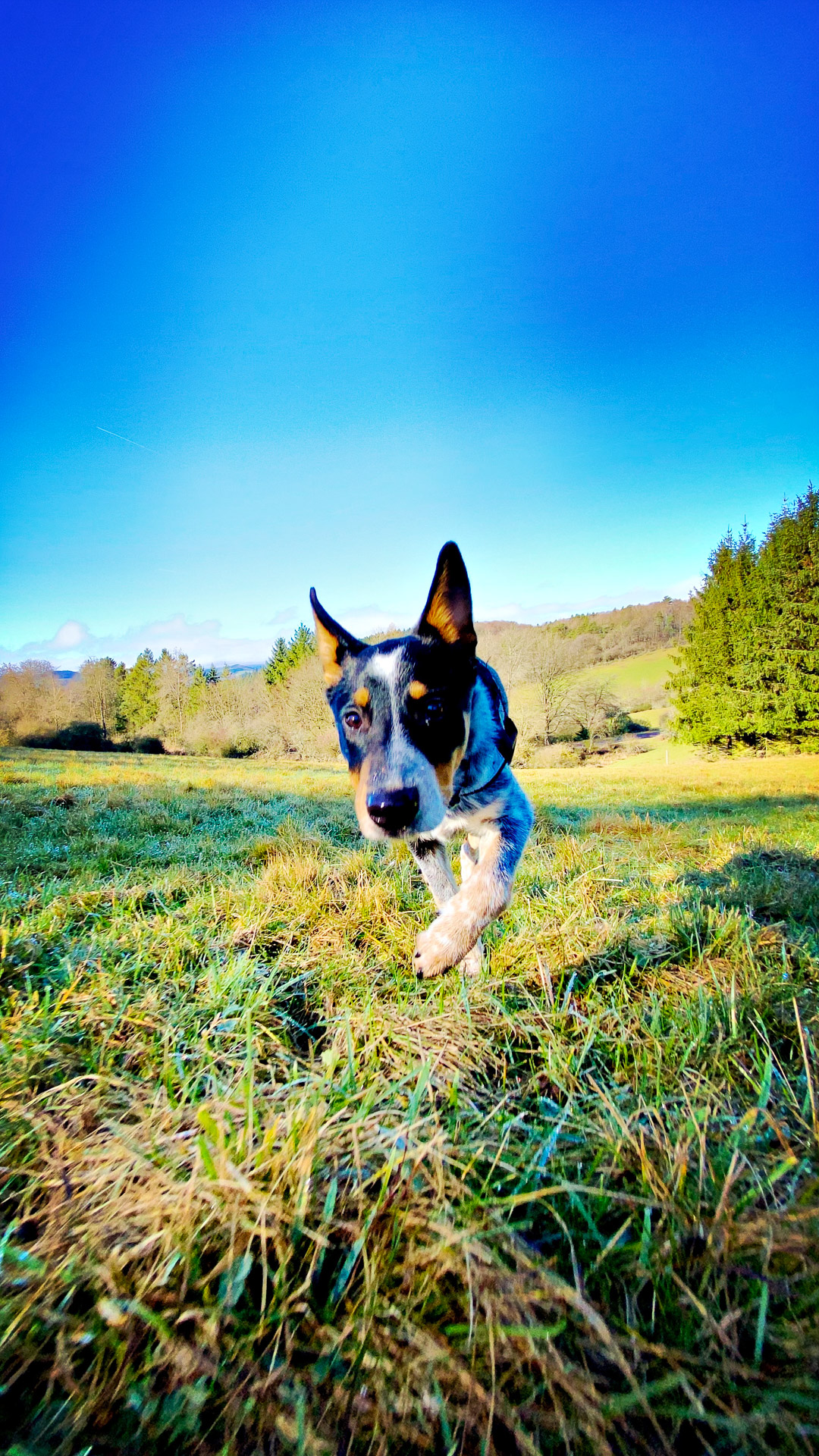 26-02-25_HipstamaticPhoto-793715318.643951