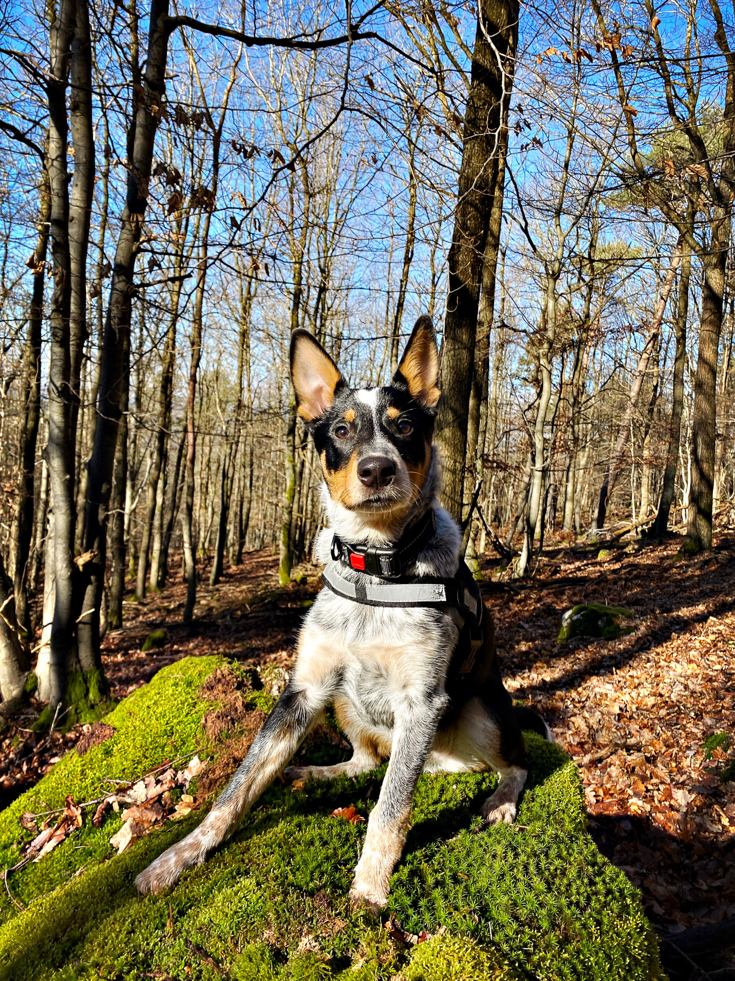 26-02-25_HipstamaticPhoto-793715333.008057