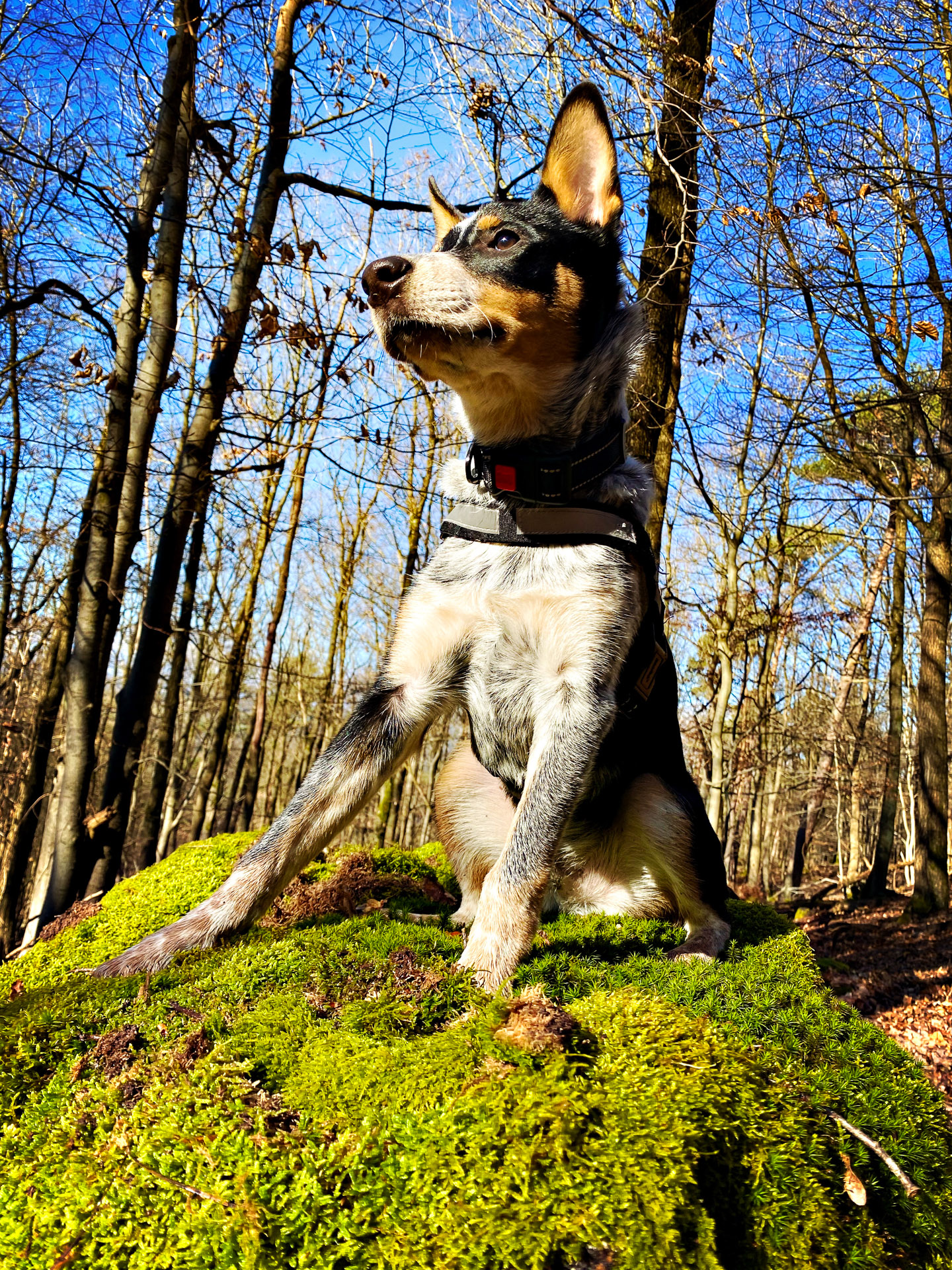 26-02-25_HipstamaticPhoto-793715341.156483