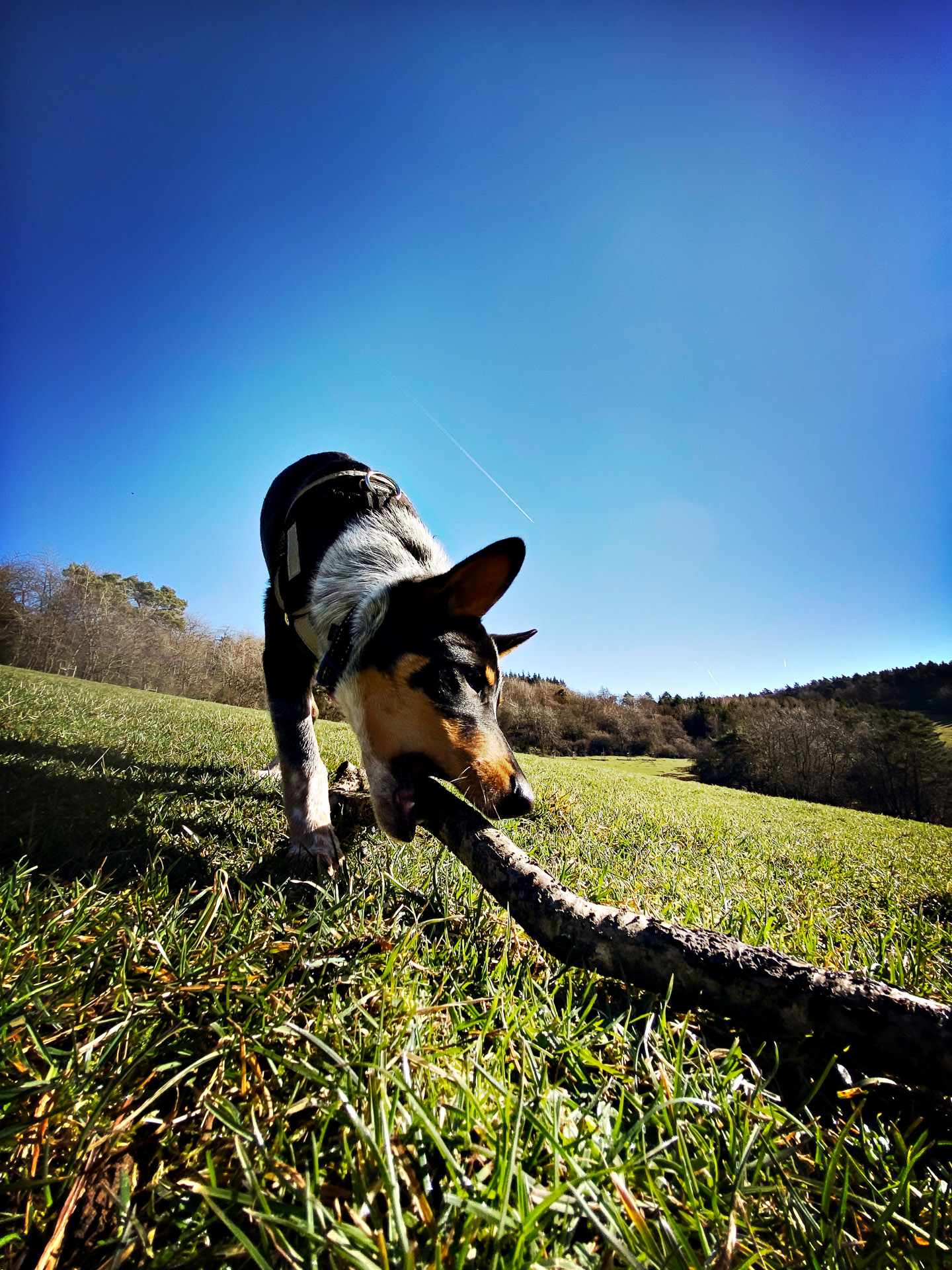 26-02-25_HipstamaticPhoto-793715346.344280