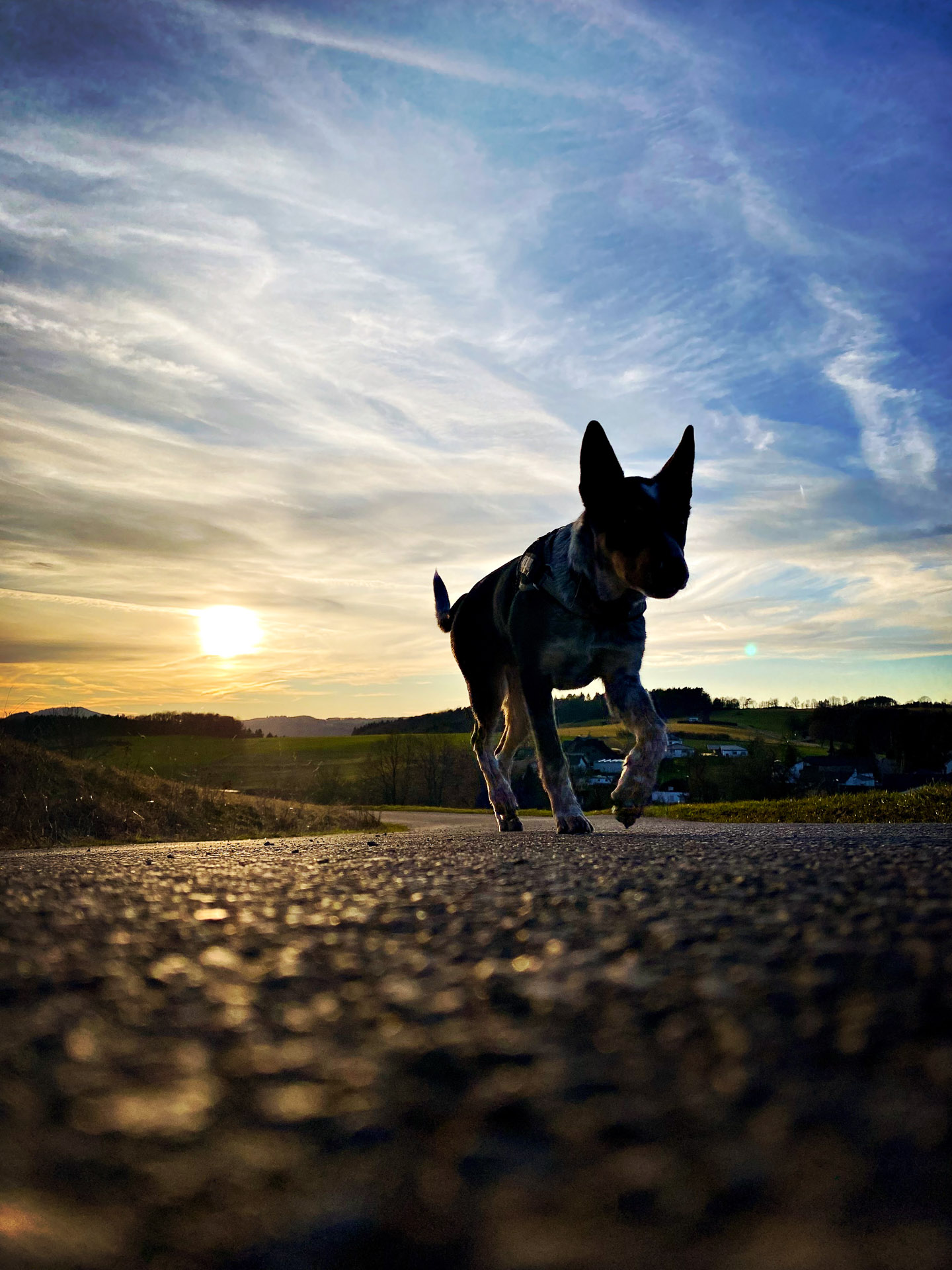 26-02-25_HipstamaticPhoto-793733709.484059