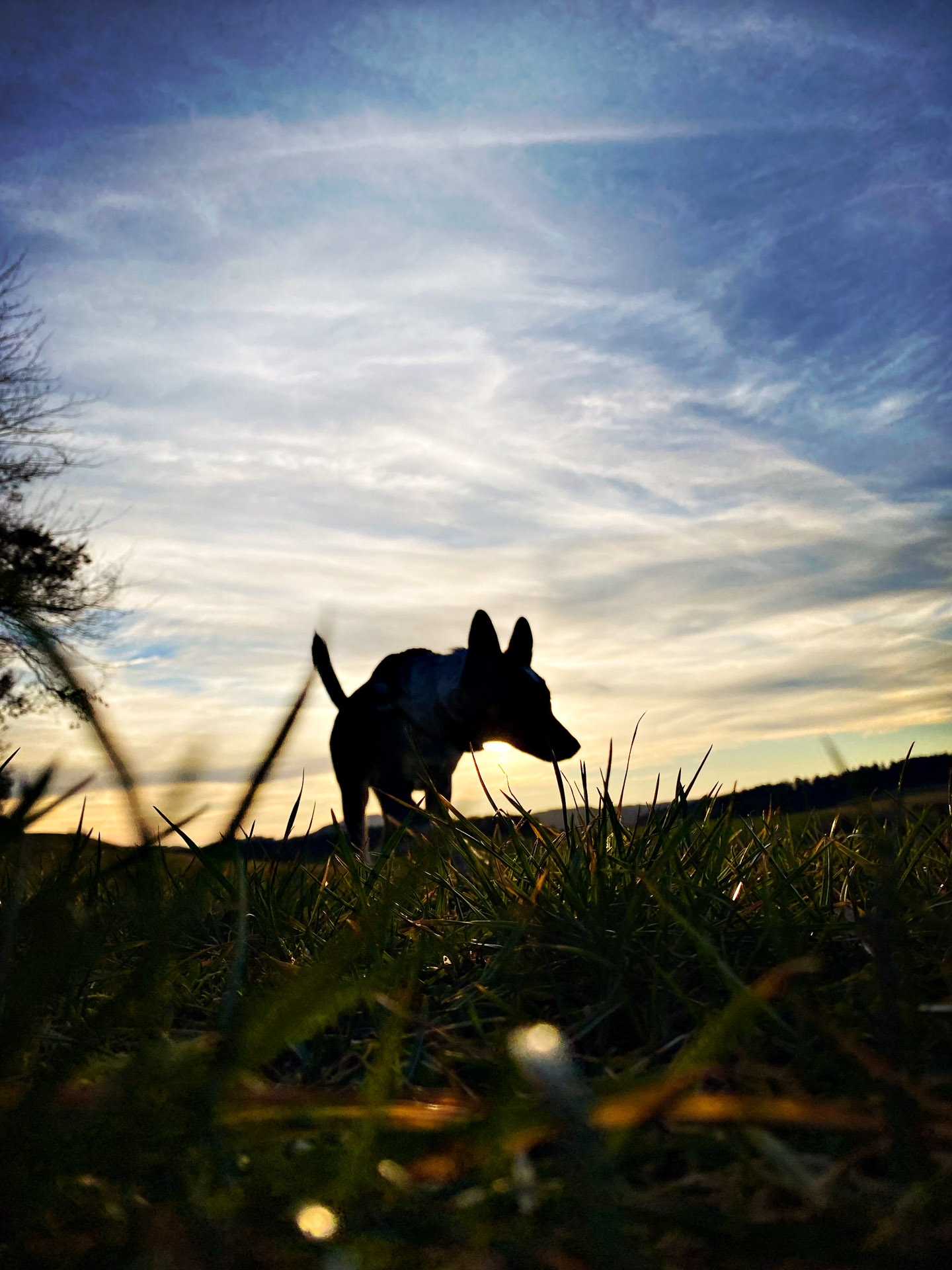 26-02-25_HipstamaticPhoto-793733717.902176