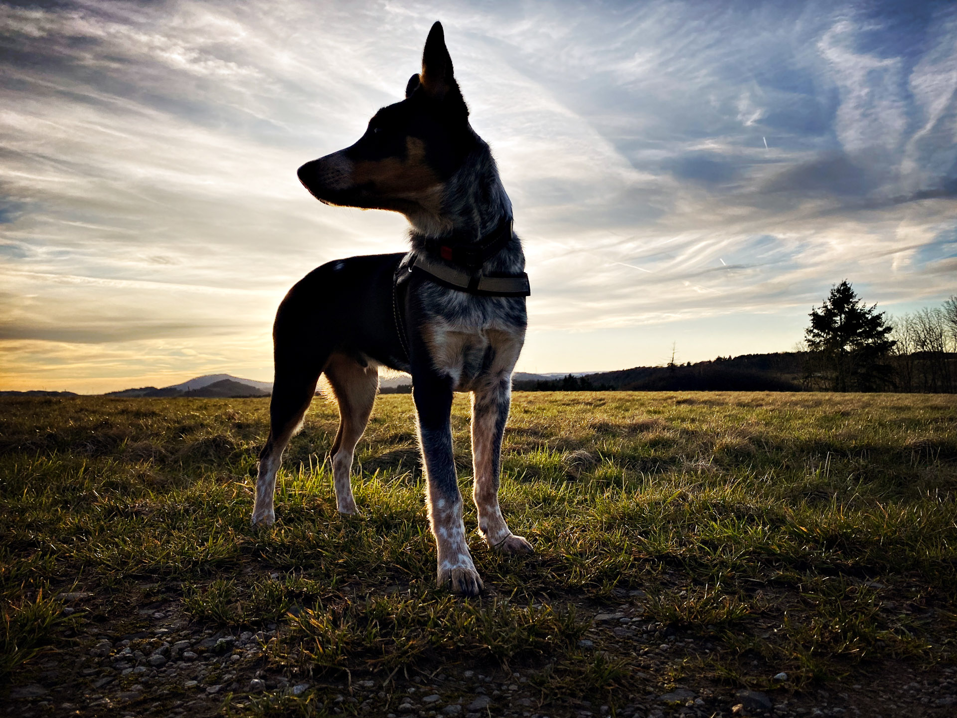 26-02-25_HipstamaticPhoto-793733723.593924