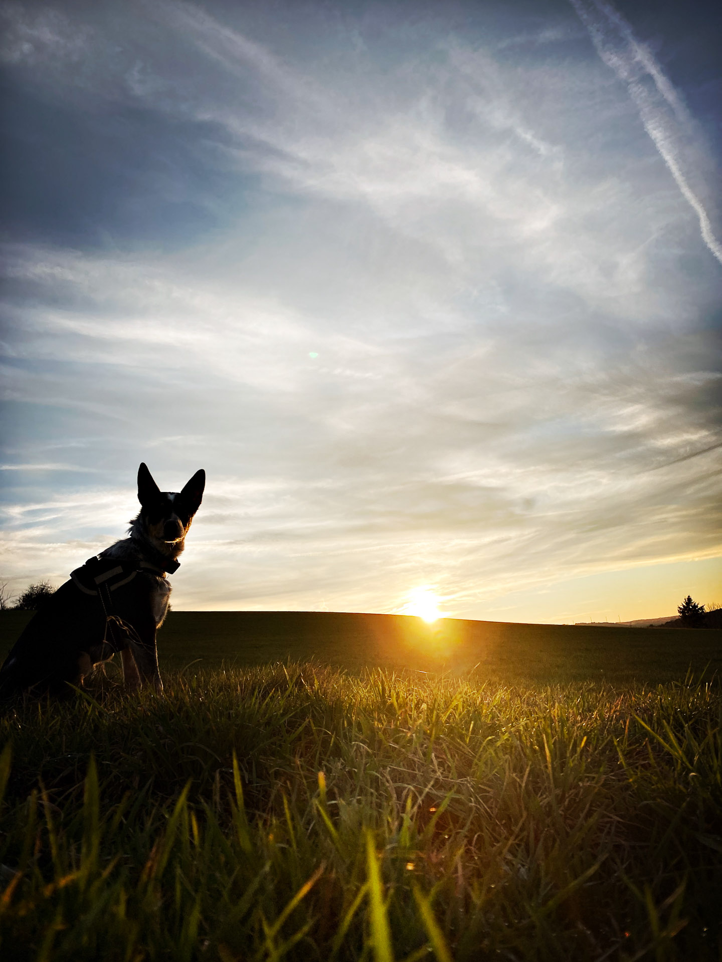 26-02-25_HipstamaticPhoto-793733807.383403