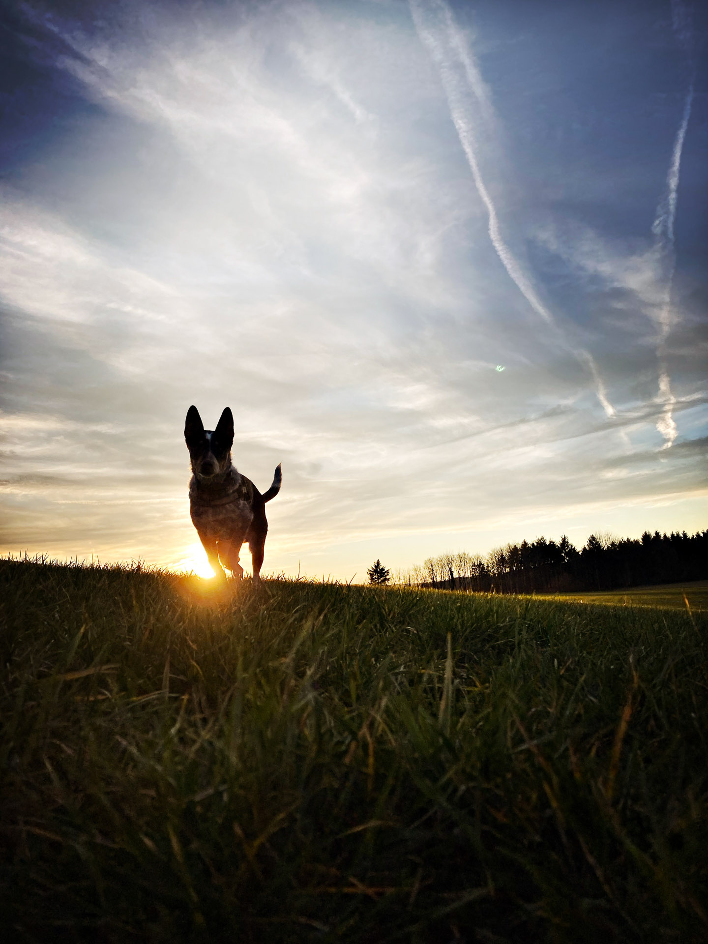 26-02-25_HipstamaticPhoto-793733812.679259