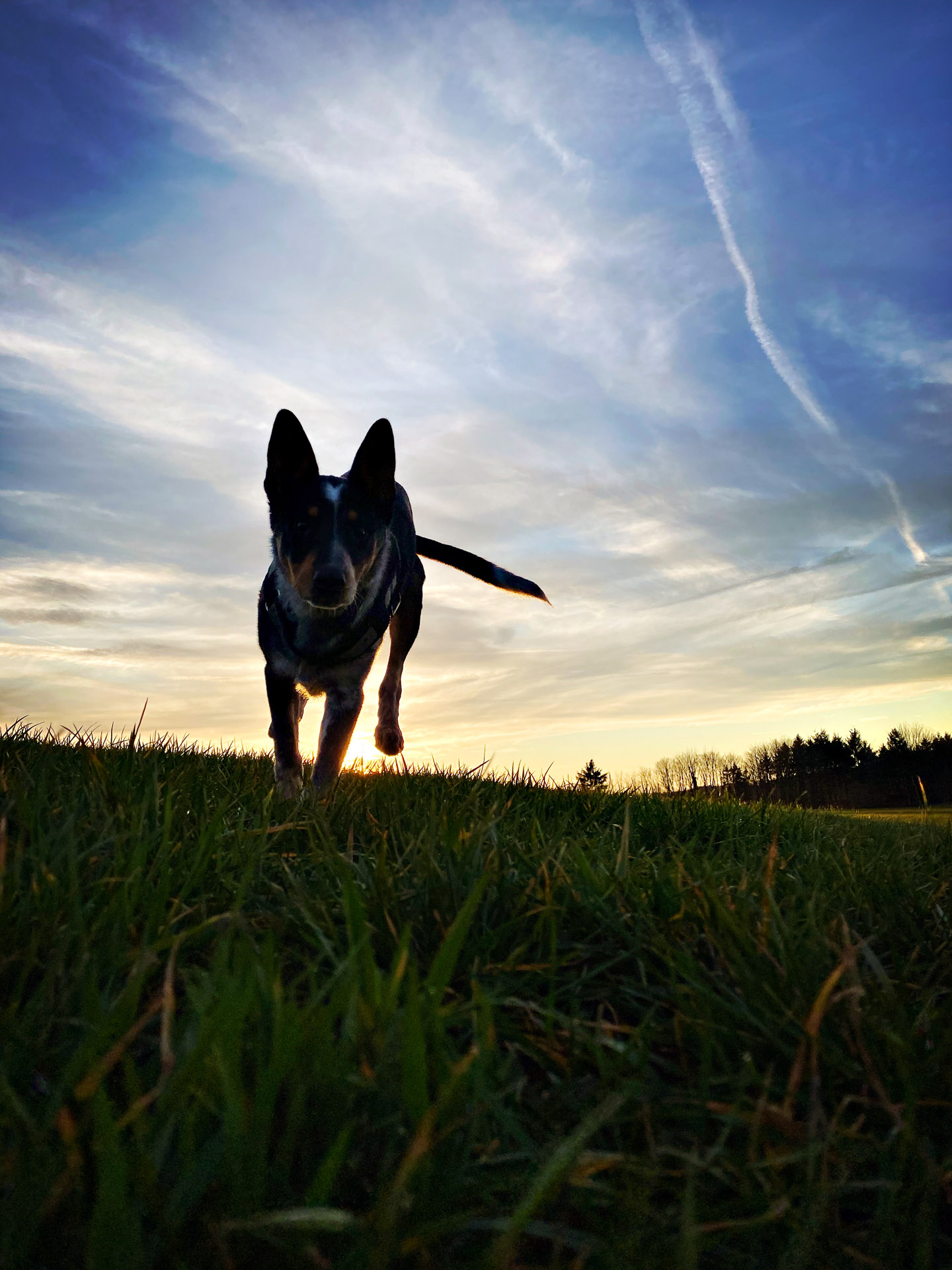 26-02-25_HipstamaticPhoto-793733819.381616