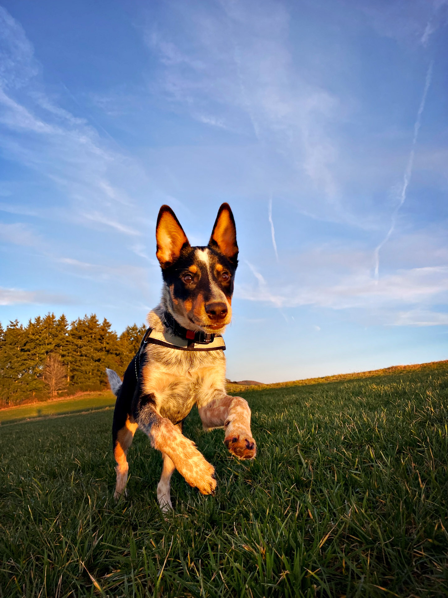 26-02-25_HipstamaticPhoto-793733830.886972