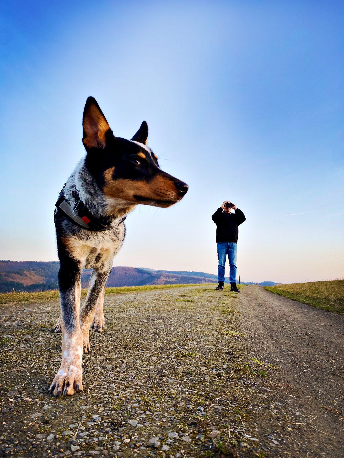 26-02-26bis27_HipstamaticPhoto-793821032.524873