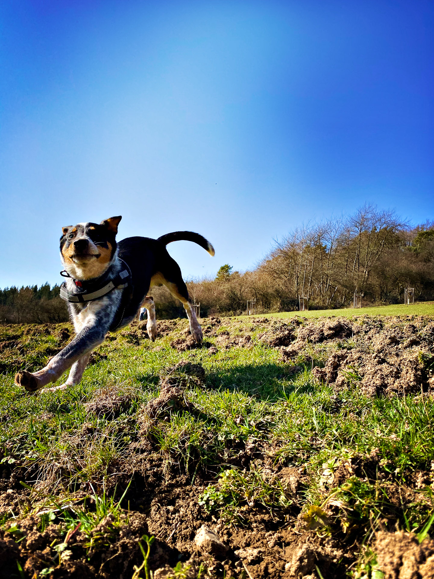 26-02-26bis27_HipstamaticPhoto-793904968.917562