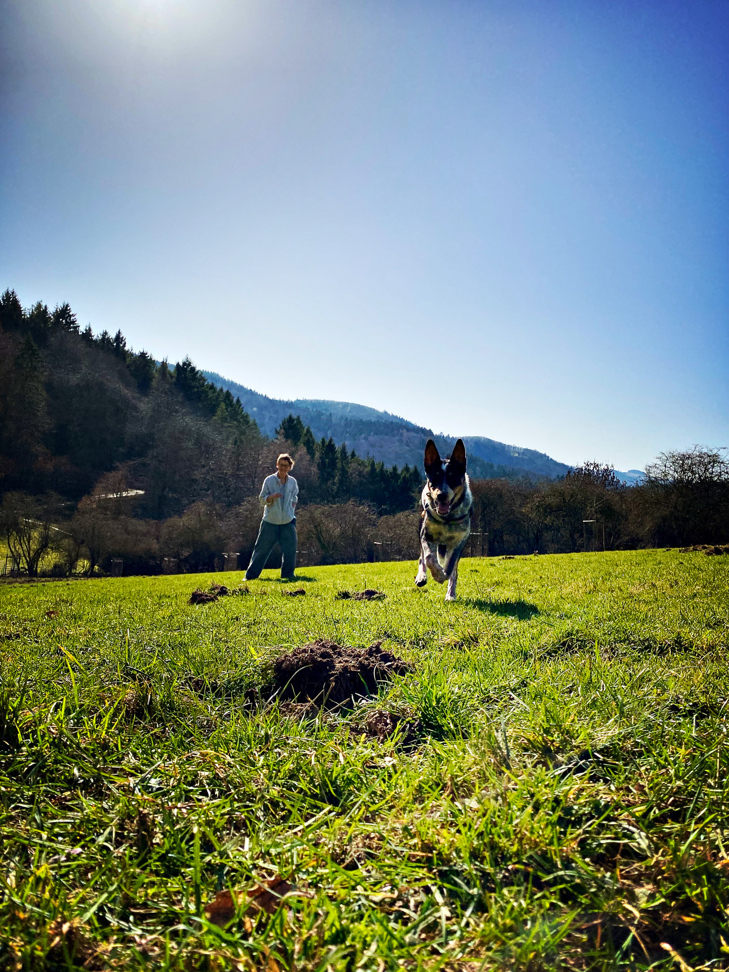 26-02-26bis27_HipstamaticPhoto-793904988.854732