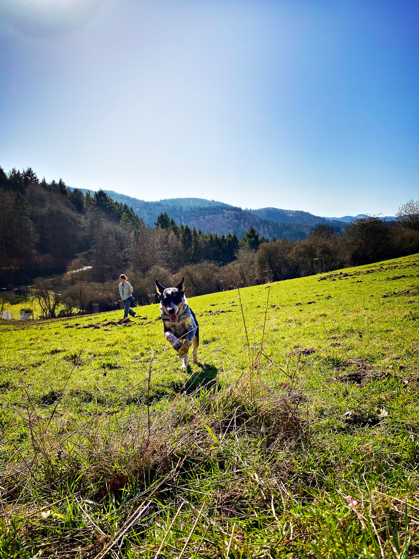 26-02-26bis27_HipstamaticPhoto-793904998.436137