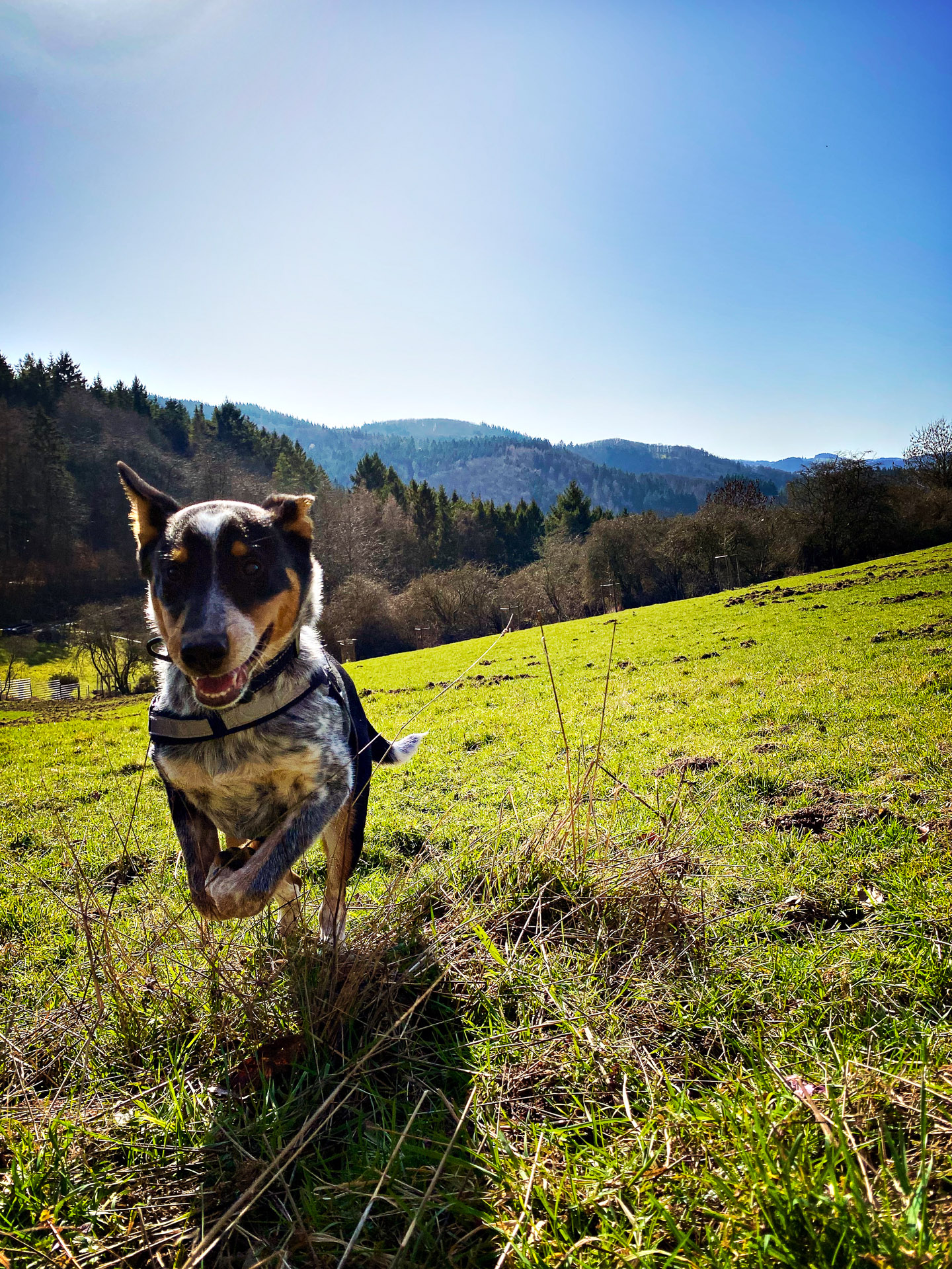 26-02-26bis27_HipstamaticPhoto-793905008.194208