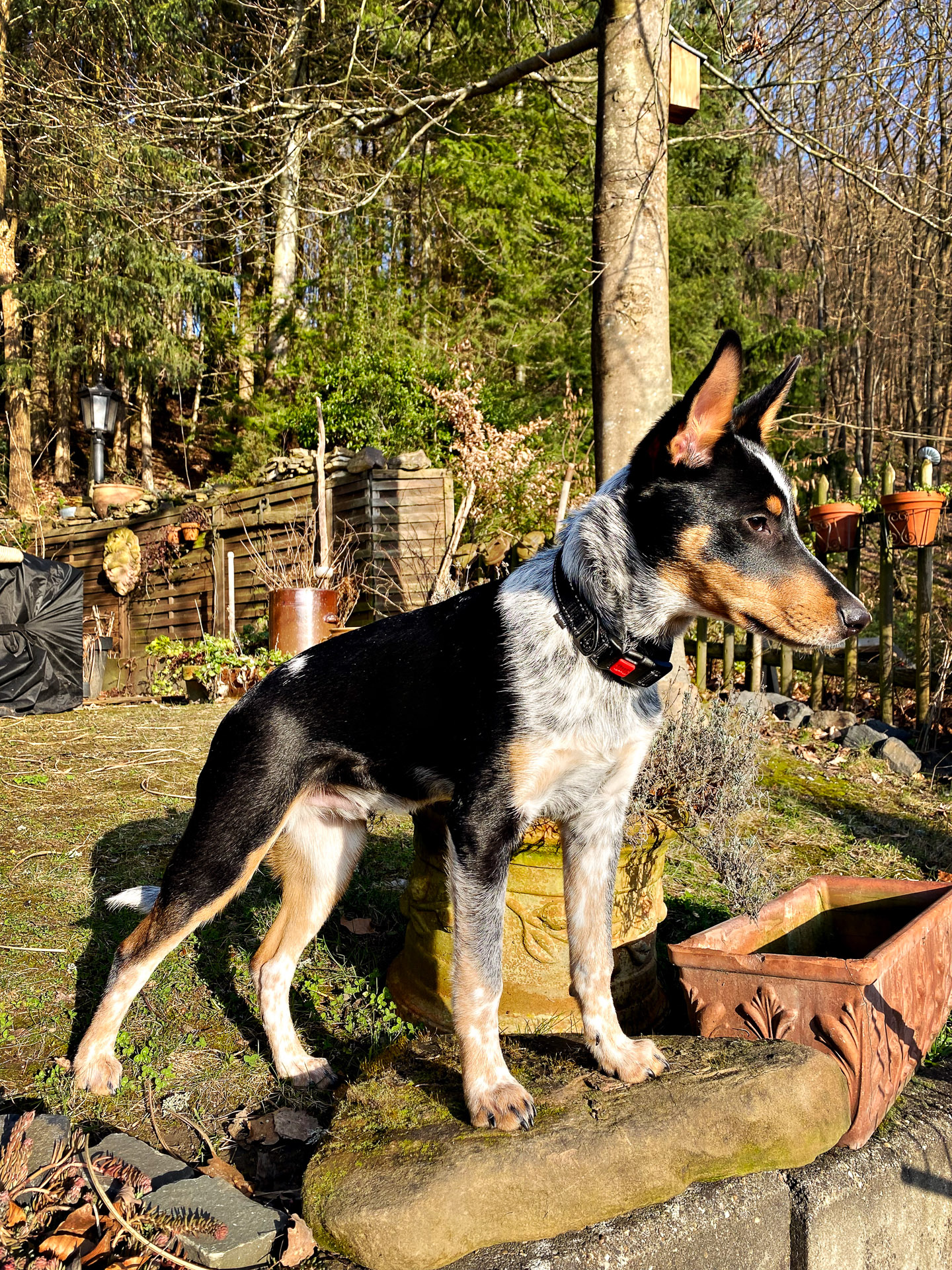 26-02-26bis27_HipstamaticPhoto-793905019.282569