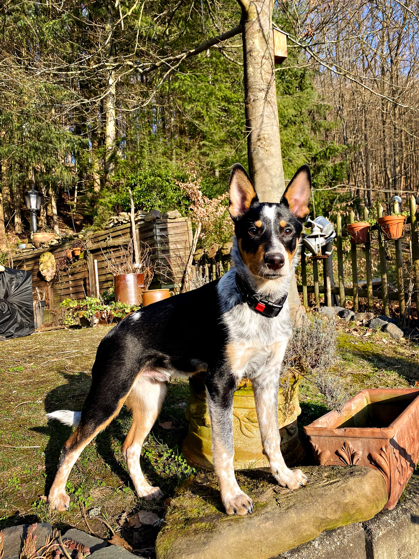 26-02-26bis27_HipstamaticPhoto-793905026.877245