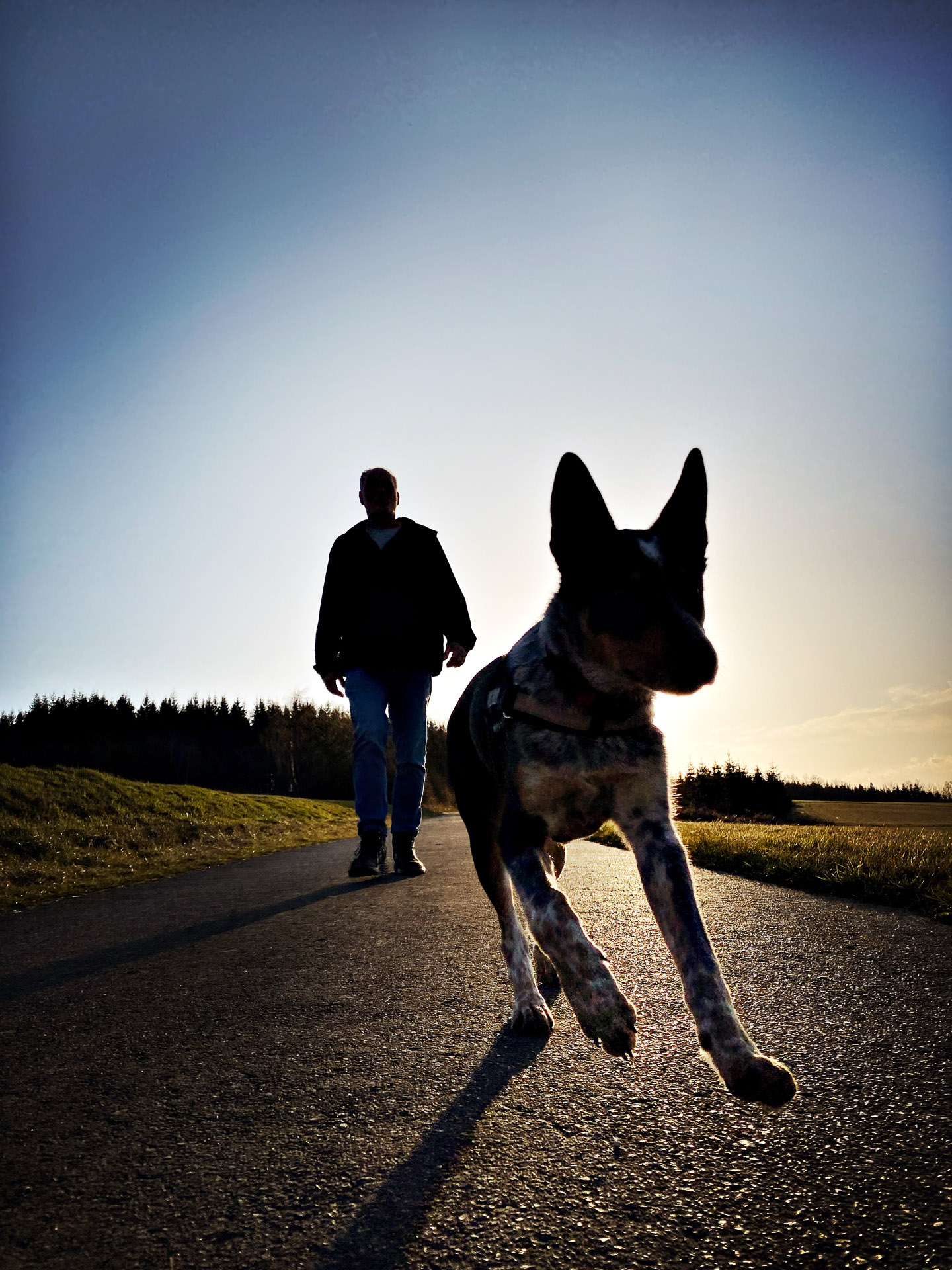 26-02-26bis27_HipstamaticPhoto-793905047.781010