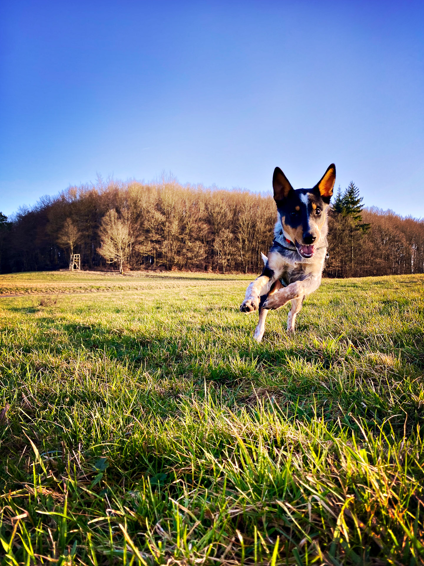 26-02-26bis27_HipstamaticPhoto-793905071.610475