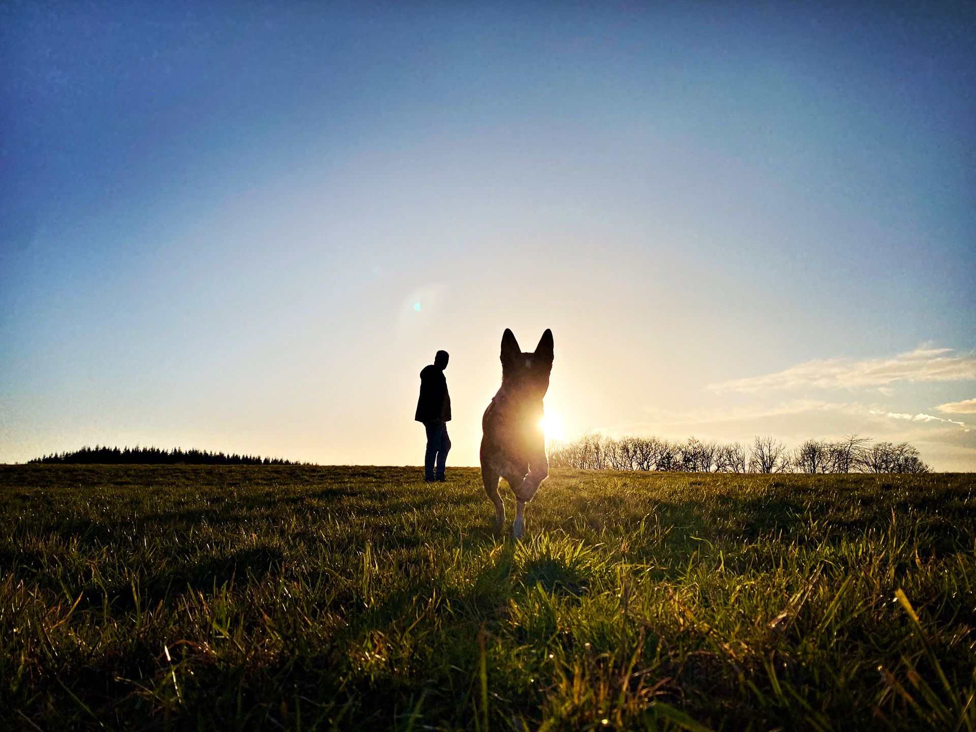 26-02-26bis27_HipstamaticPhoto-793905135.334091