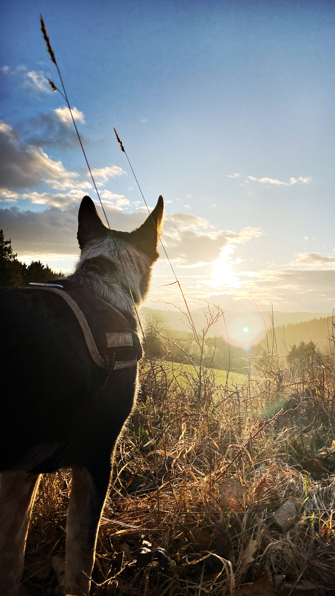 26-02-28_HipstamaticPhoto-793992950.478331_2