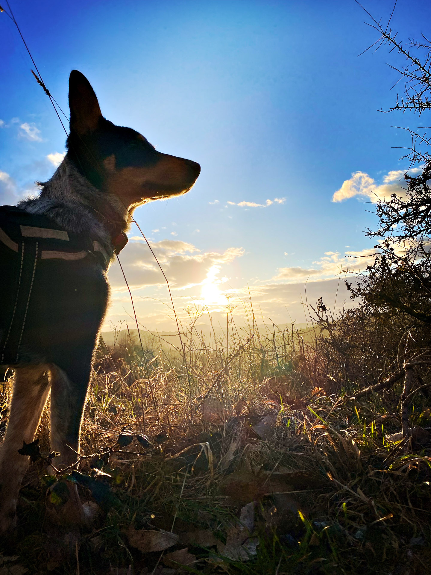 26-02-28_HipstamaticPhoto-793992956.858118