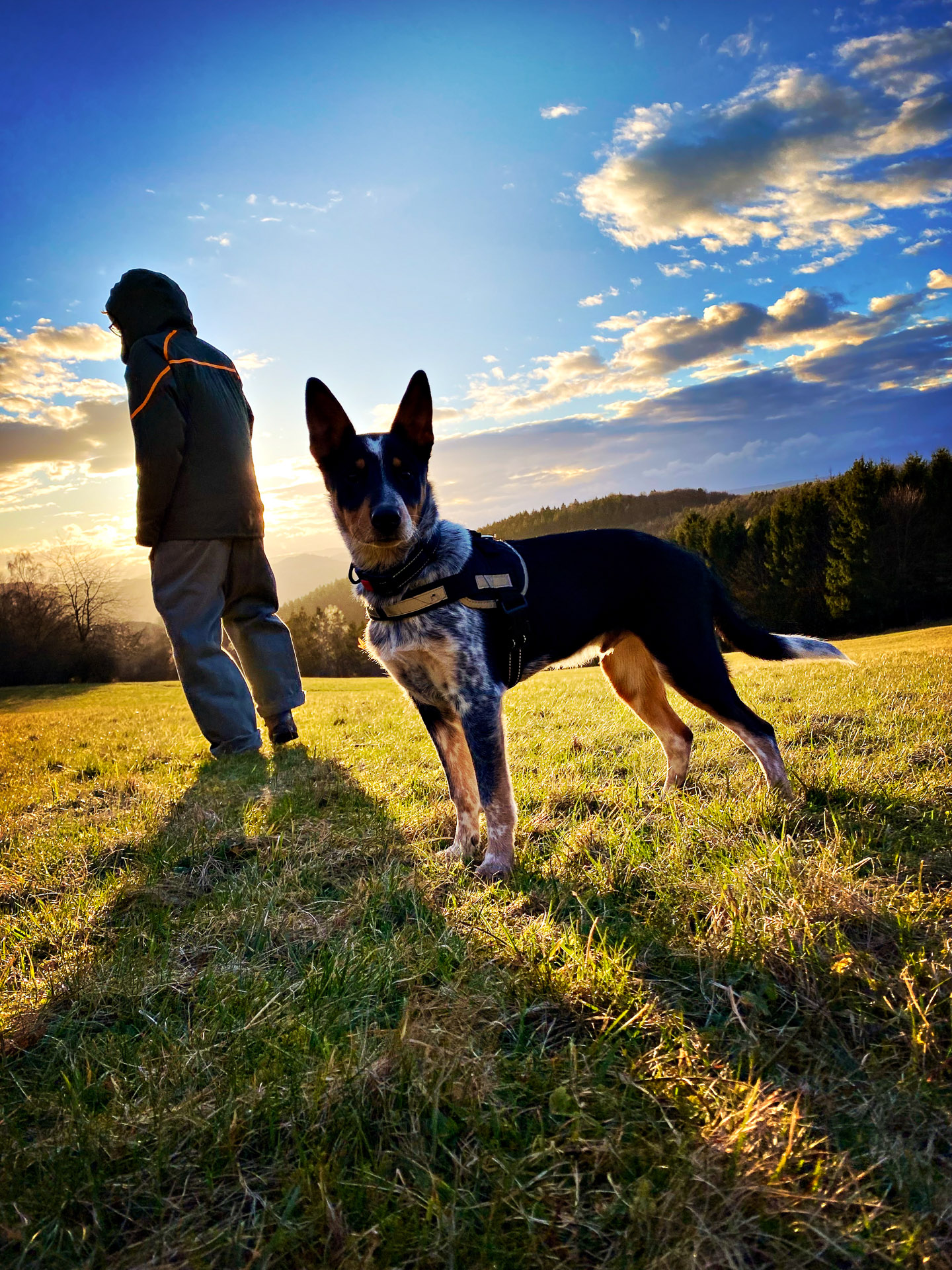 26-02-28_HipstamaticPhoto-793992969.258986