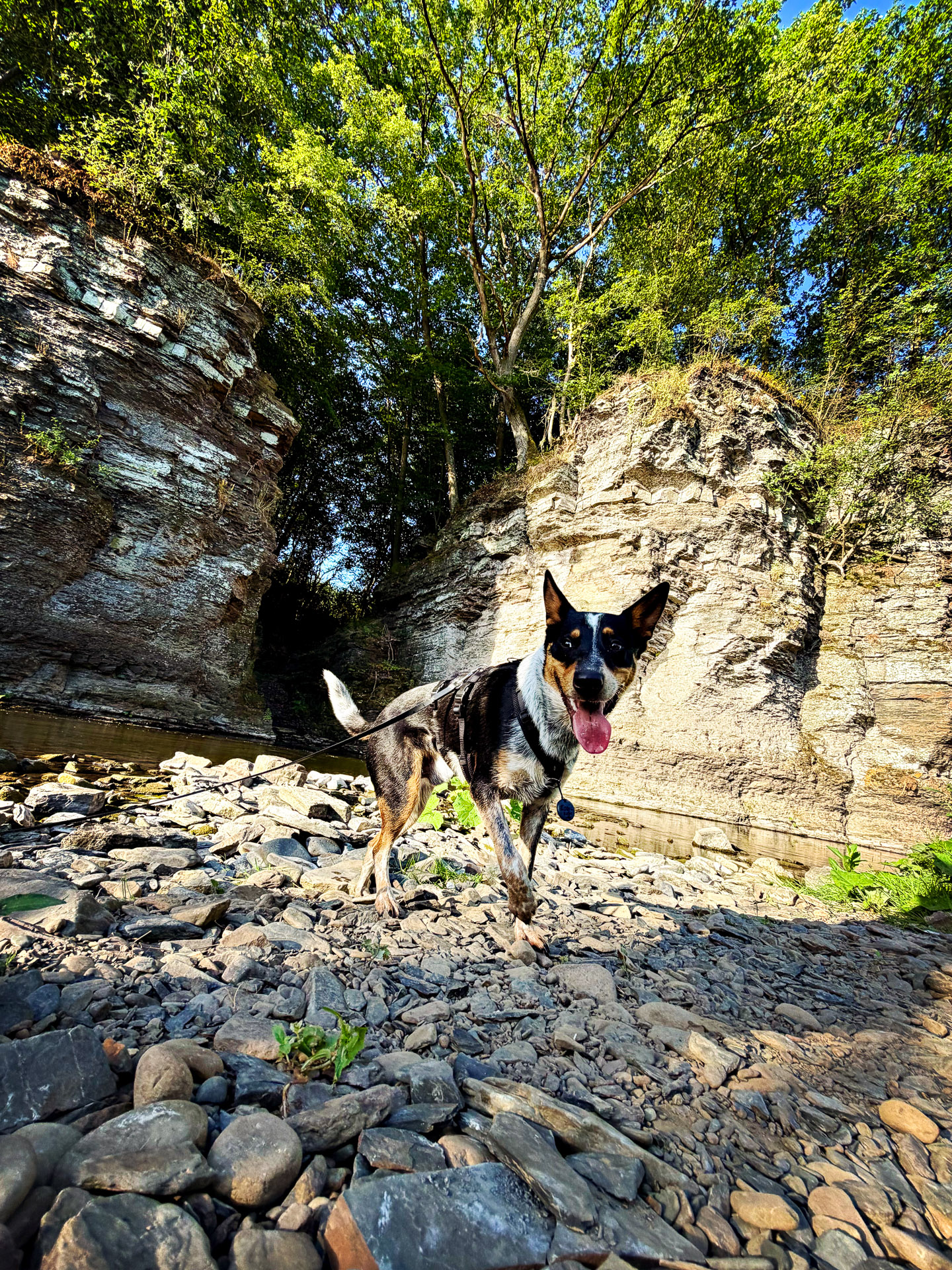 26-06-25_HipstamaticPhoto-804060296.434079