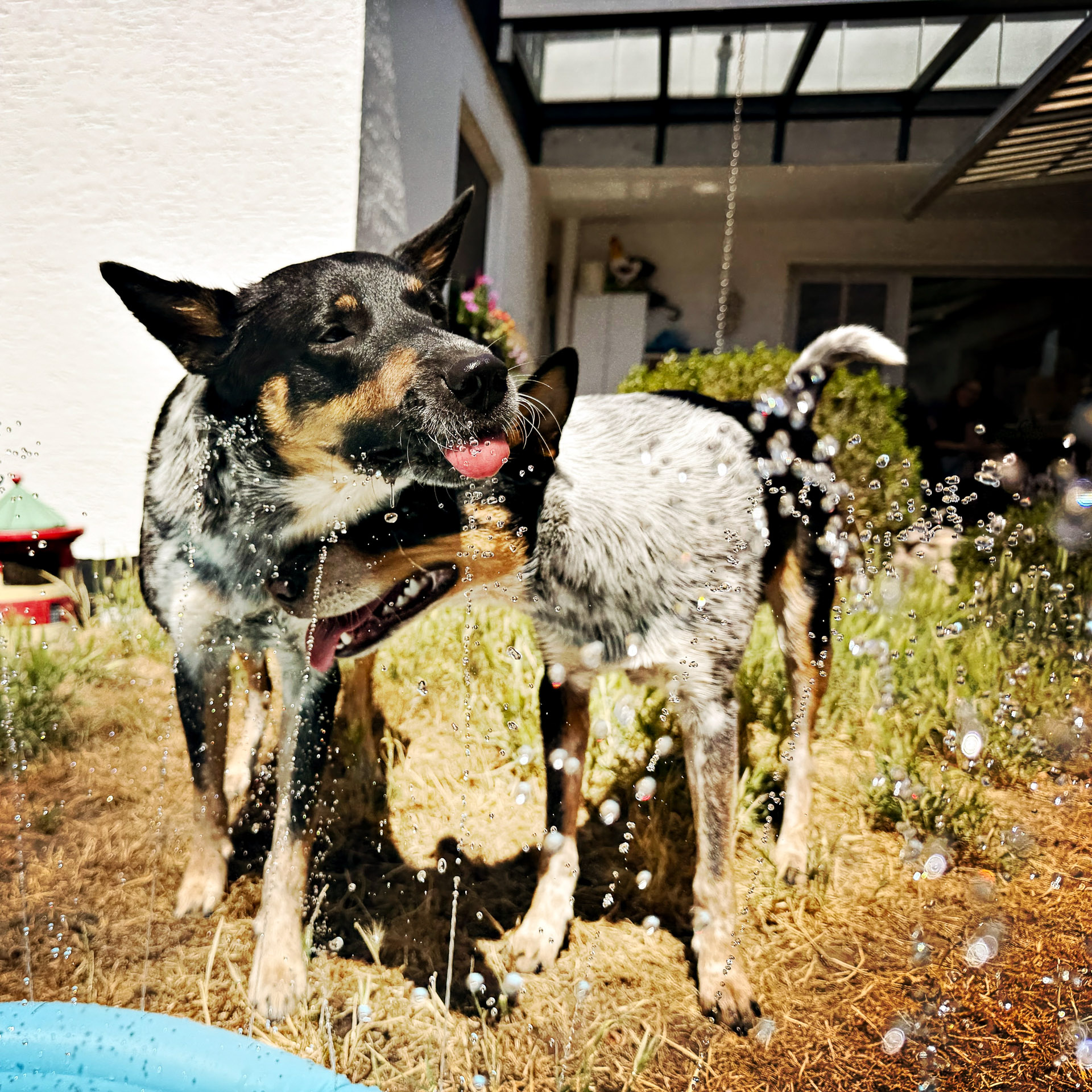 26-07-10-12_HipstamaticPhoto-805547231.381418
