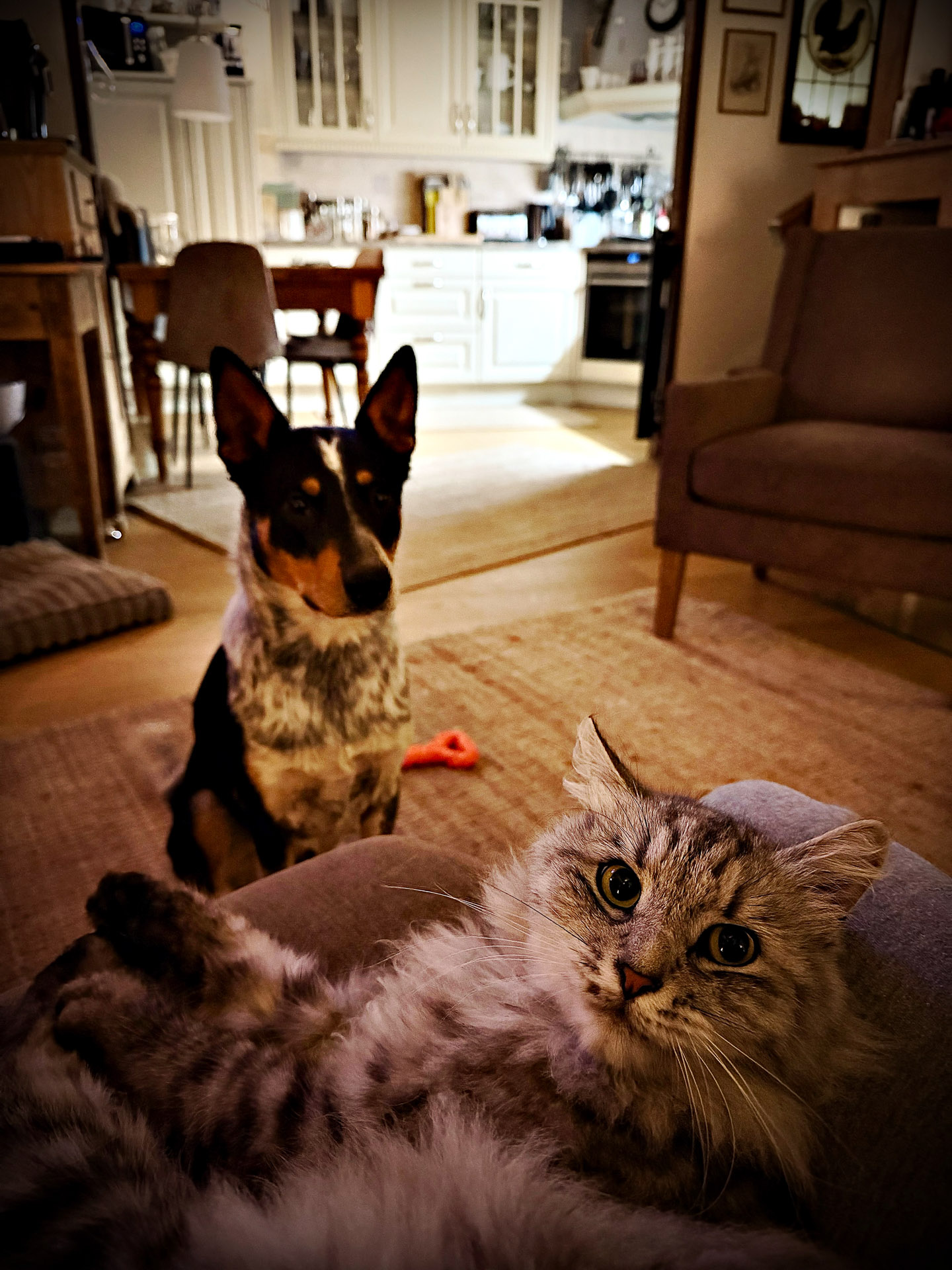 26-09-10_HipstamaticPhoto-810764155.613443